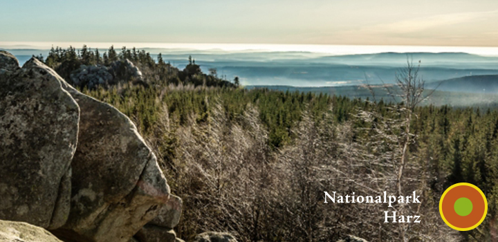 nationalpark harz